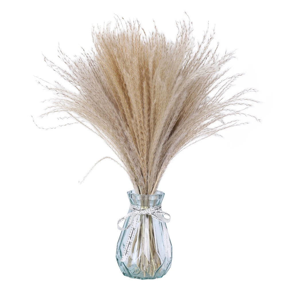 Reed Dried Grass Whisk Dried Flower Bouquet  Natural Reed Grass  80 Stems