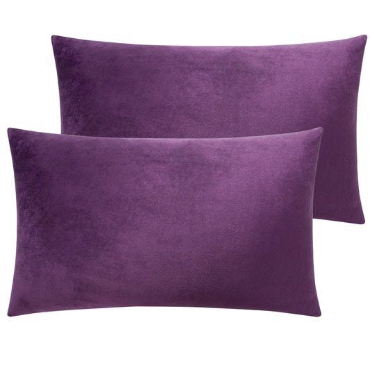 2 Pack Velvet Hidden Zippered Pillowcases, Super Soft and Cozy Luxury Solid Color