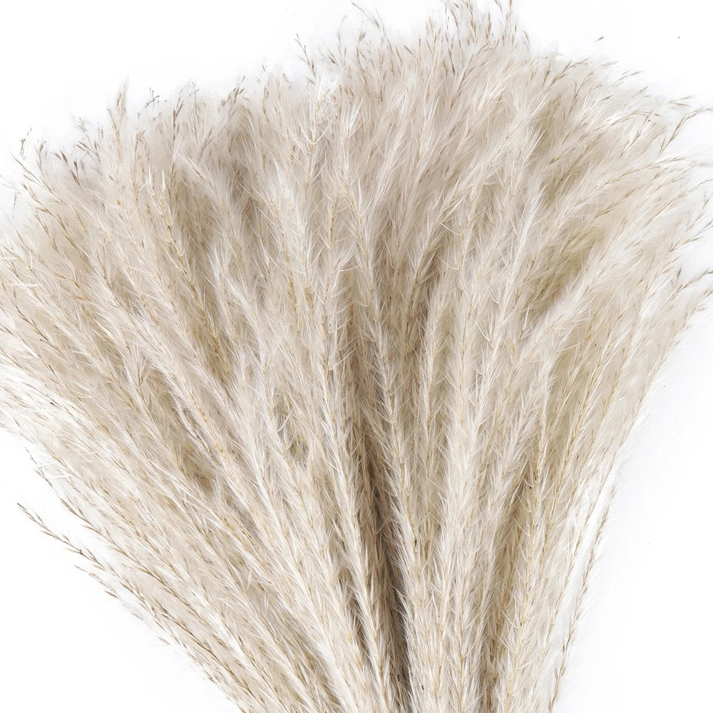 Reed Dried Grass Whisk Dried Flower Bouquet  Natural Reed Grass  80 Stems