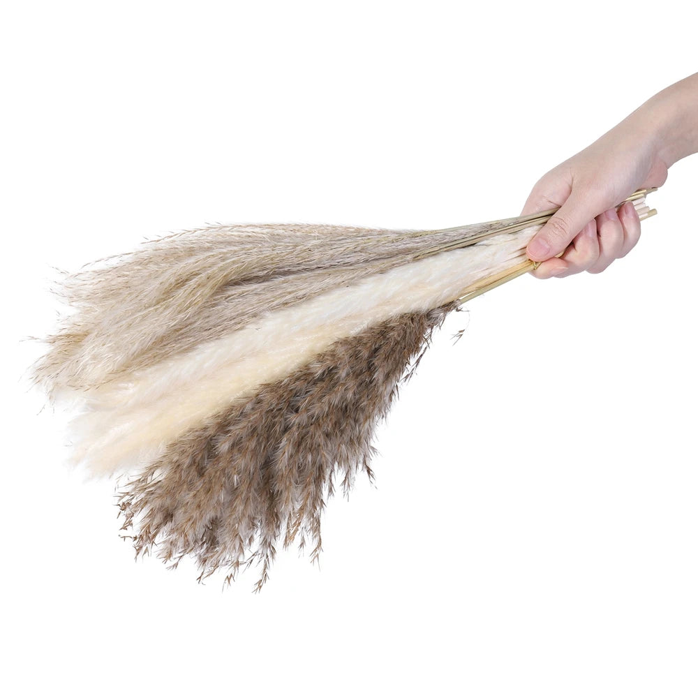 Reed Dried Grass Whisk Dried Flower Bouquet  Natural Reed Grass  80 Stems