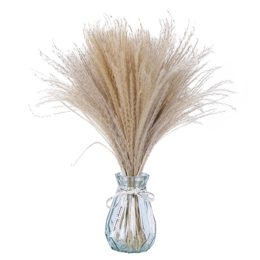 Reed Dried Grass Whisk Dried Flower Bouquet  Natural Reed Grass  80 Stems